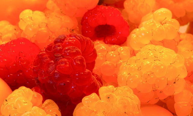 到机动型锋 到机动型锋