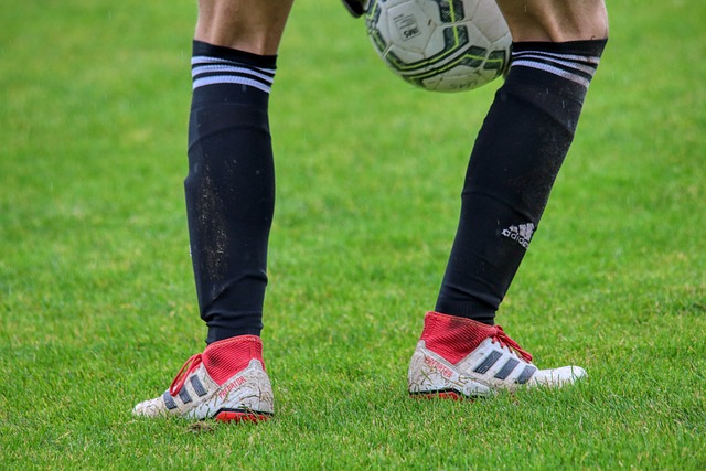 詹姆斯不仅 詹姆斯不仅