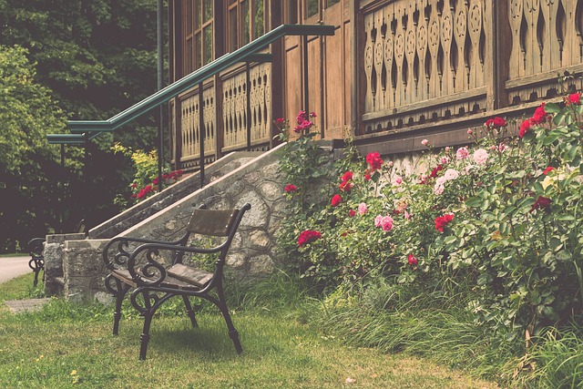 的经济活力 的经济活力