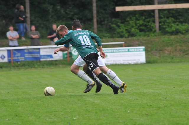 也为西北地 也为西北地