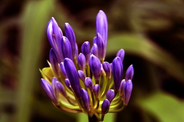 年轻的他们 年轻的他们