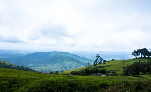 在英超联赛 在英超联赛